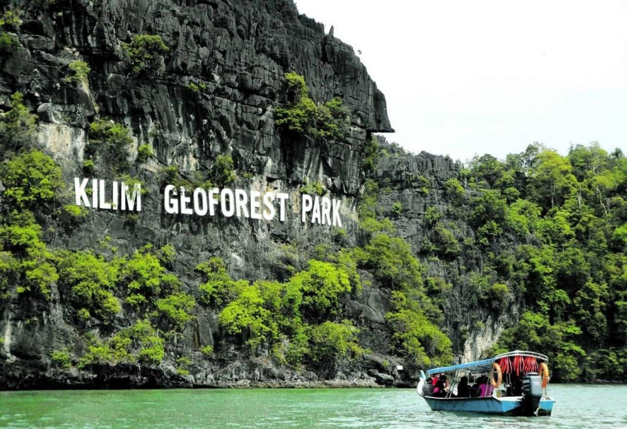 Jelajahi Pesona Hutan Mangrove Langkawi