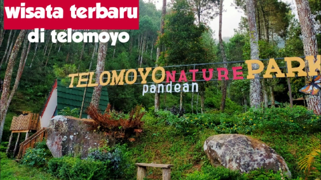 Telomoyo Nature Park: Pesona Alam di Puncak Jawa Tengah